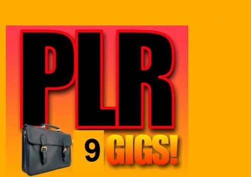 Product picture 9GB plr product ebook.products video with plr